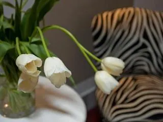 Гостевой дом The Place 3*