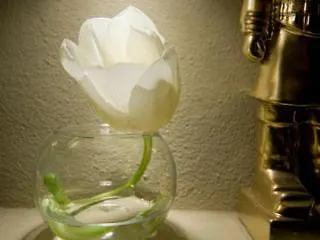 The Place ゲストハウス 3*